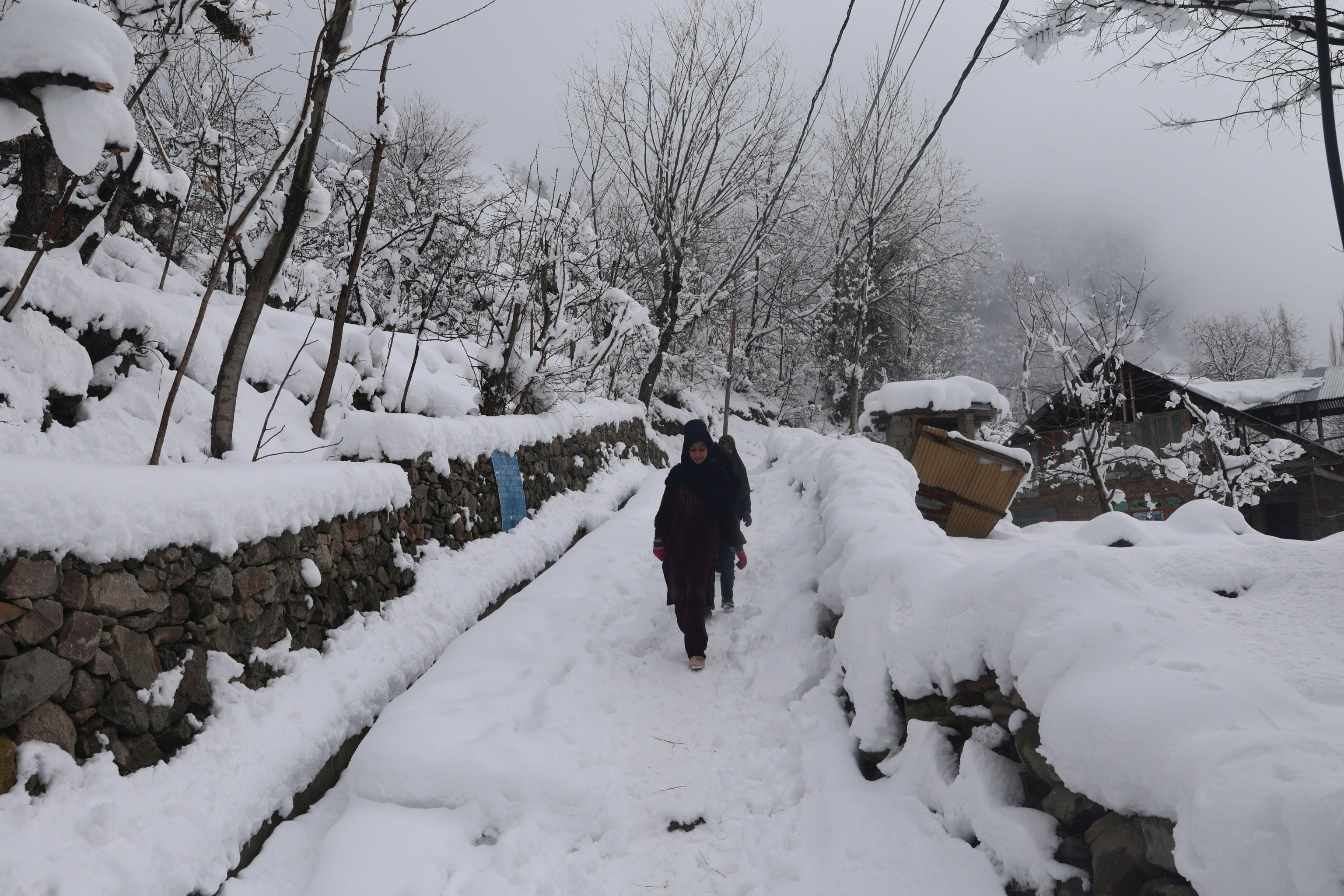 Belluno, Bambino Fatto Scendere Dal Bus Nel Gelo: A Piedi Per 6 Km Sotto La Neve
